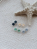 Seashell Studs