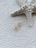 Sand Dollar Studs