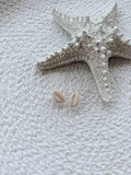 Cowrie Shell Studs
