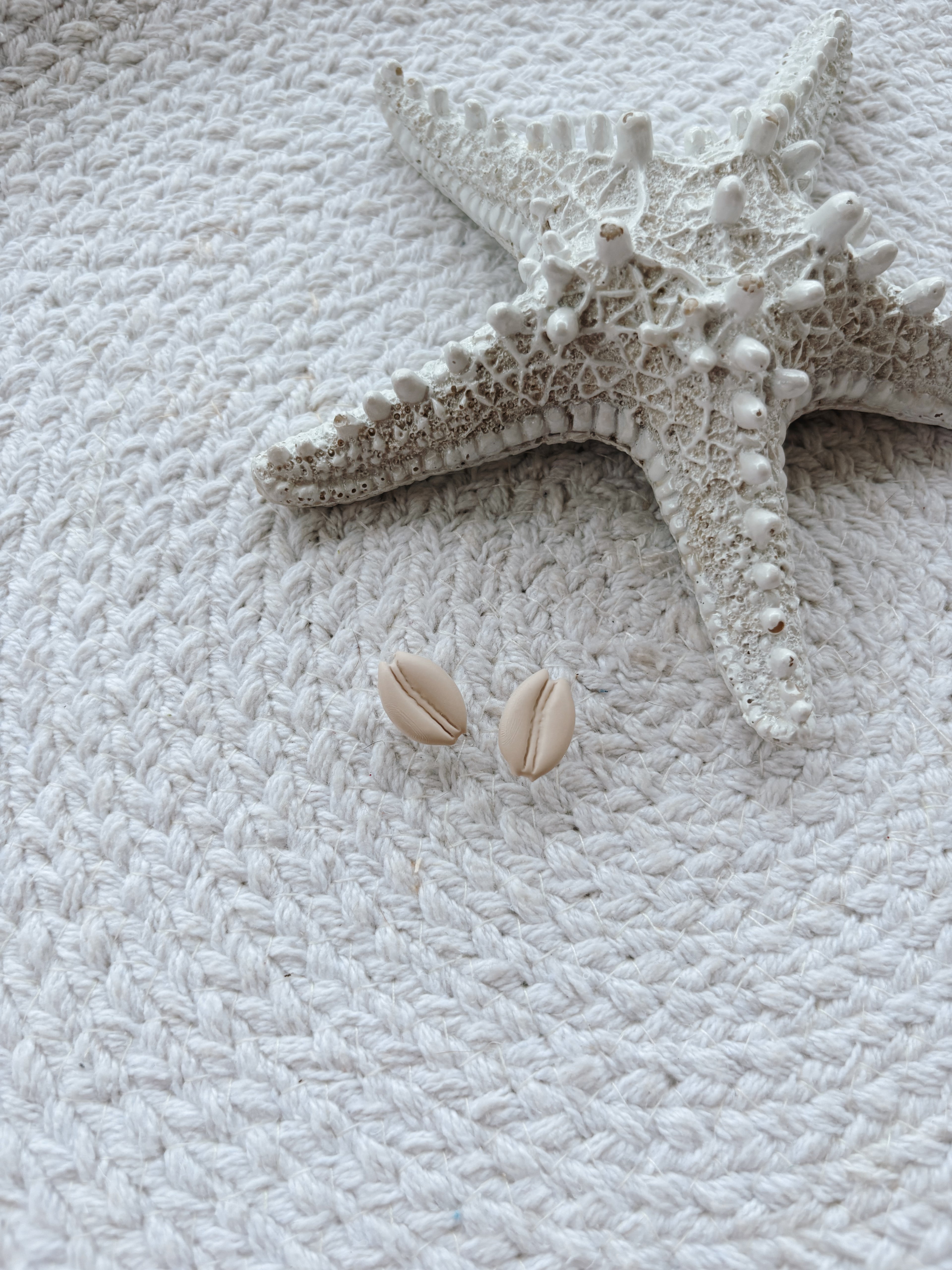 Cowrie Shell Studs