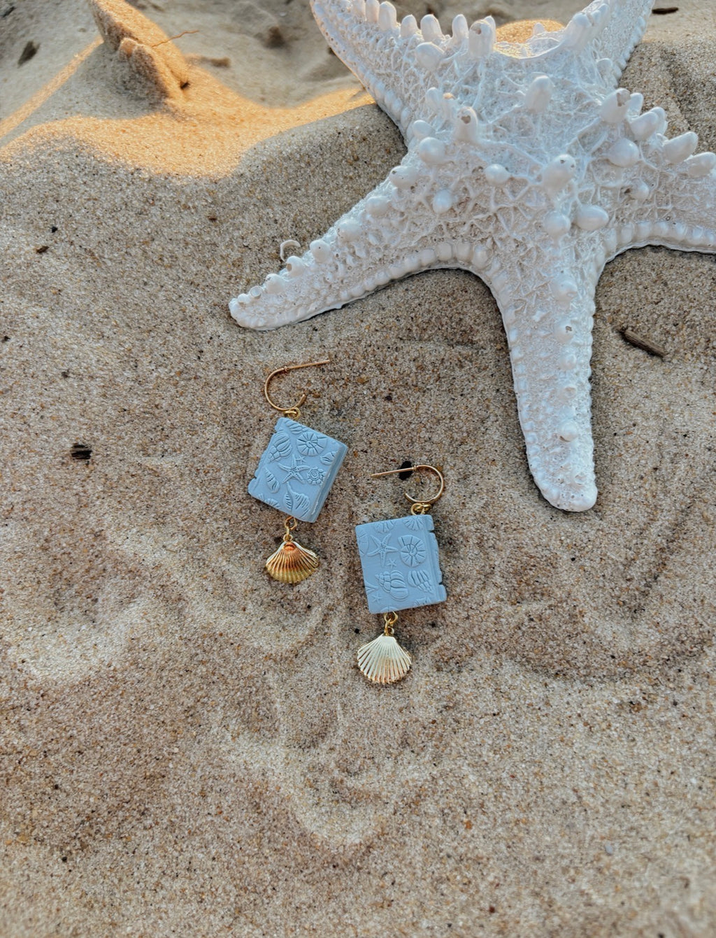 Books & Shells