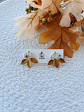 Pumpkin Studs